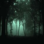 Forest-Dark-Wallpaper-High-Resolution