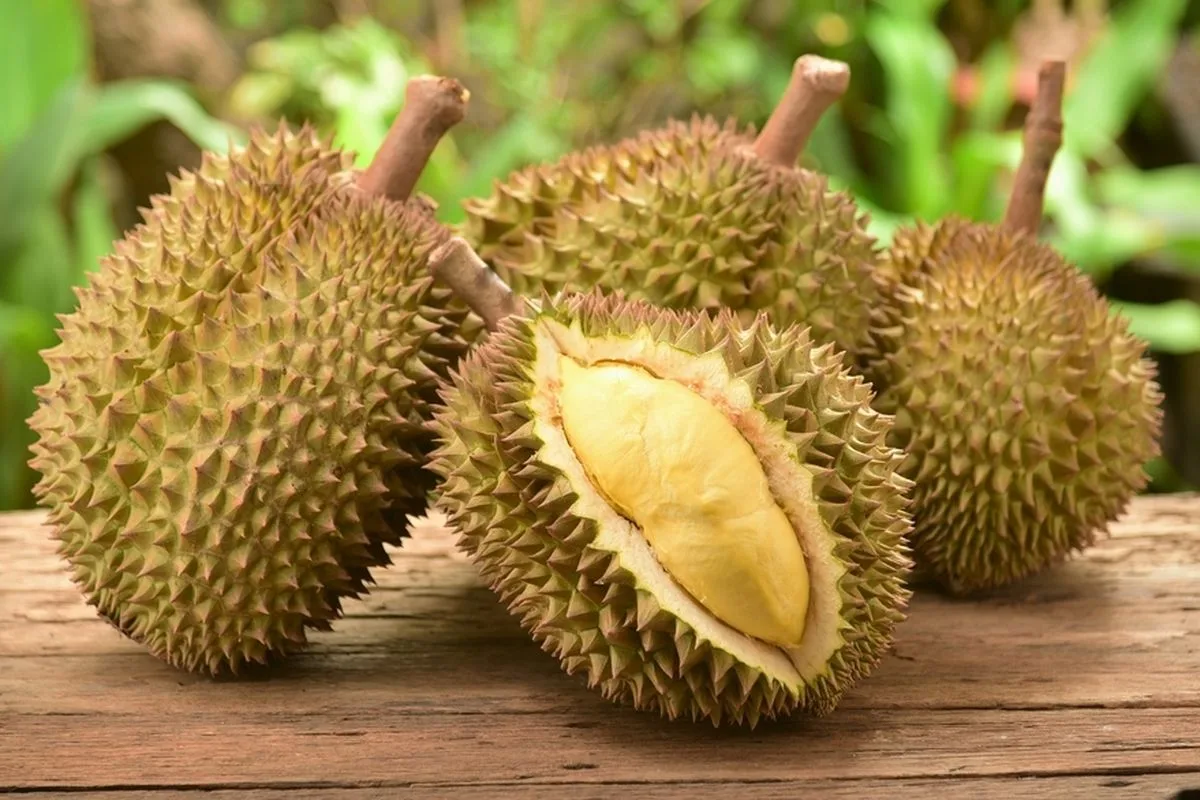 Makan Lebih 9 Ulas Durian Boleh Gemuk? Ini Fakta Ramai Tak Tahu!