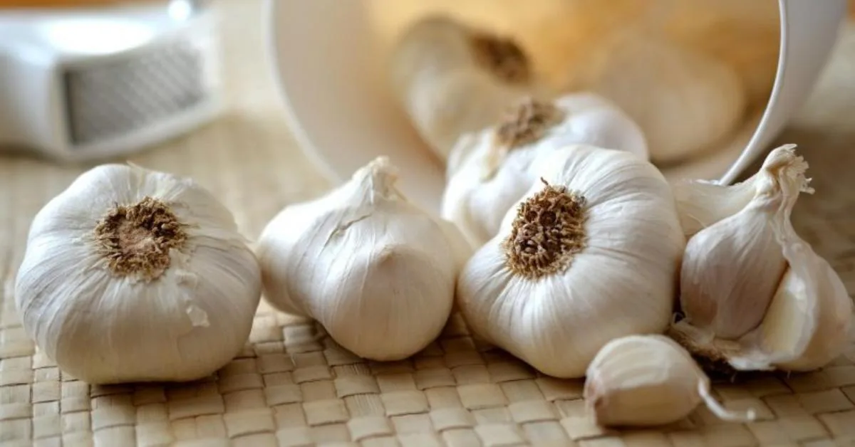 Kajian Buktikan Bawang Putih Jadikan Bau Badan Lelaki Lebih Seksi