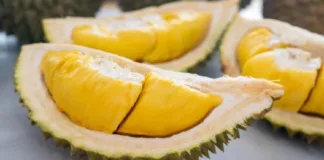durian