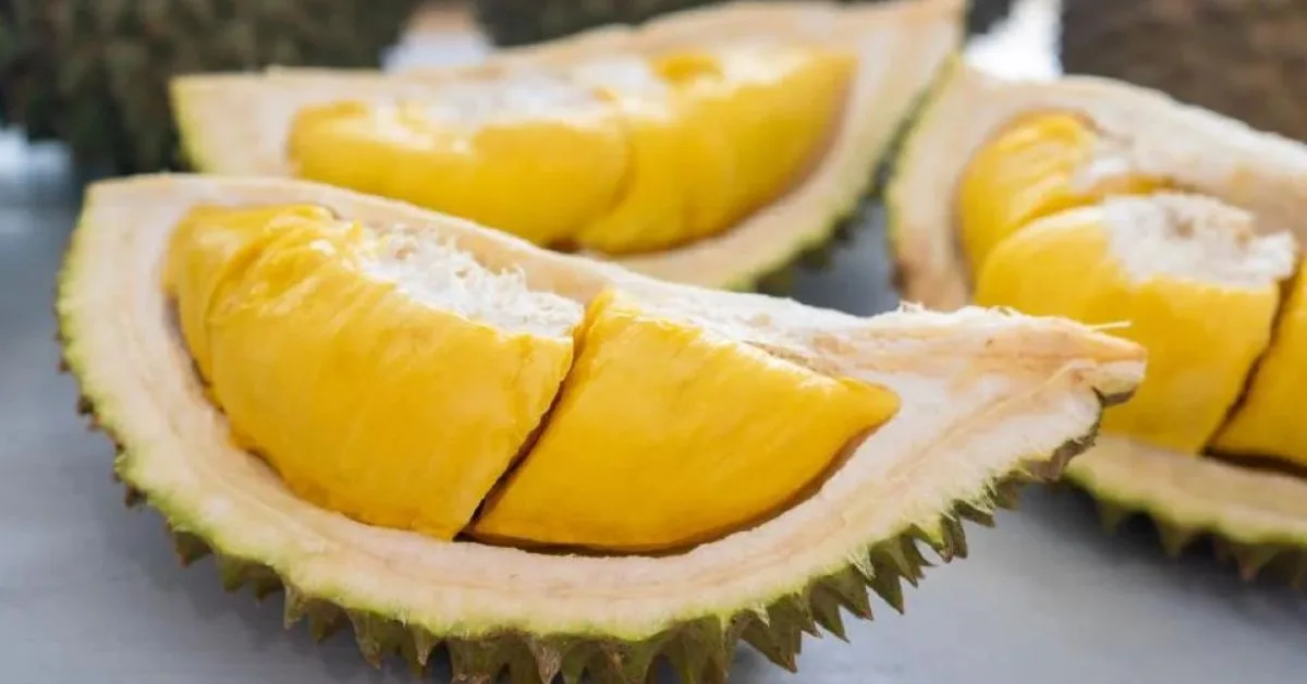 Tiga Golongan Kena Hadkan Makan Durian, Pakar Jelaskan Bahayanya