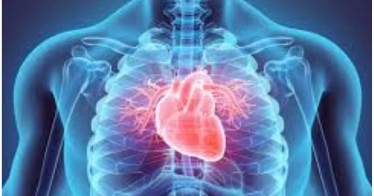 Lelaki, Jangan Tunggu Rebah! Ini Tanda Awal Jantung Bermasalah