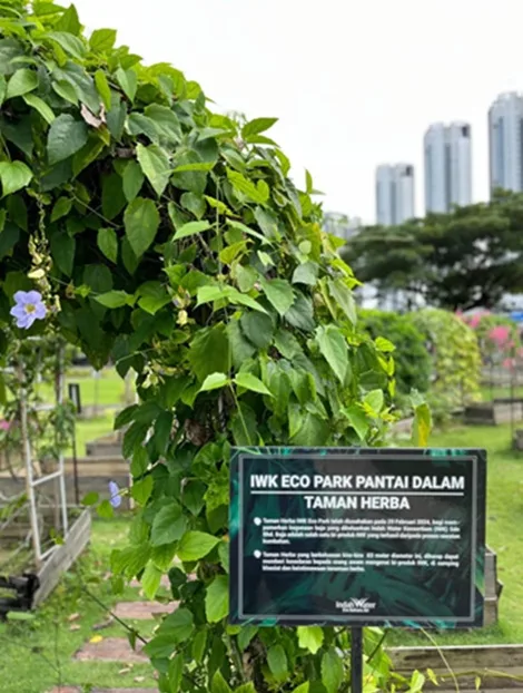 IWK Eco Park, Destinasi Baharu Aktiviti Sukan dan Rekreasi Dalam Bandar