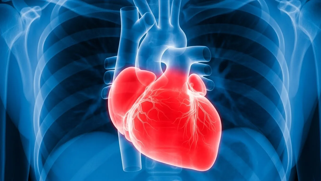 8 Tanda Jantung Anda Masih Dalam Keadaan Baik & Mantap 6 8 Tanda Jantung Anda Masih Dalam Keadaan Baik & Mantap