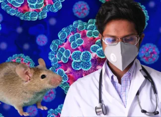 hantavirus