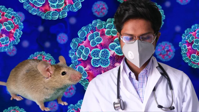 Copy of ARTIKEL MAS hantavirus