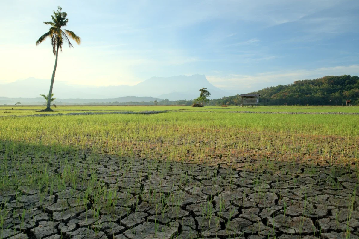 El Nino Dijangka Bawa Cuaca Lebih Panas Hingga 2027