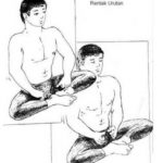 Senaman-Harimau4-253×300