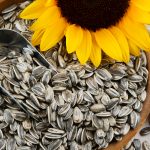 Closeup of Sunflower Seeds