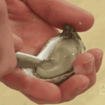 anigif_enhanced-buzz-21389-1377191030-35