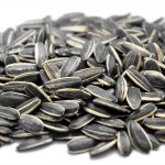 sunflower_seeds