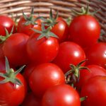 homegrown-tomatoes-basket