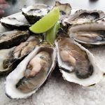 oysters13